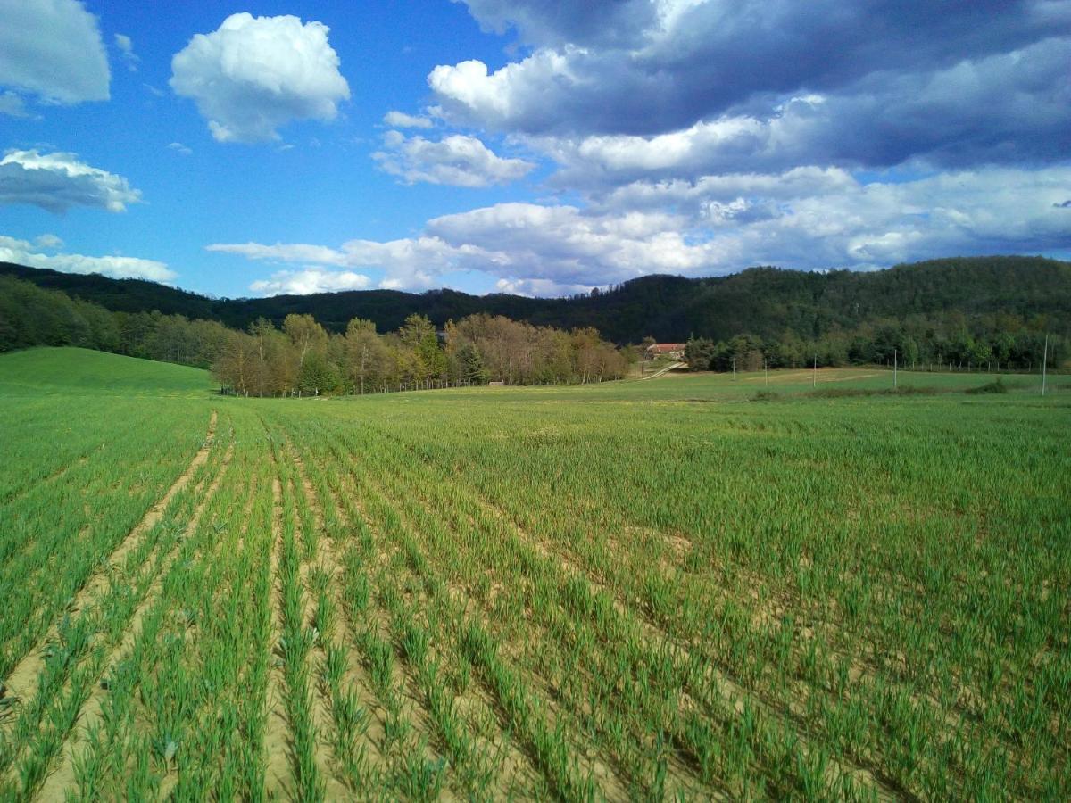 Bed and Breakfast Cascina Boschetto Saliceto Екстер'єр фото